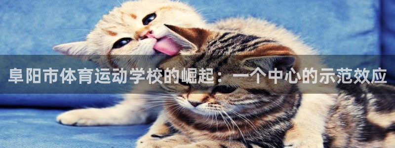 球速体育：阜阳市体育运动学校的崛起：一个中心的示范效应
