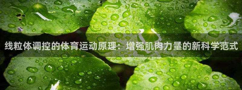 球速体育：线粒体调控的体育运动原理：增强肌肉力量的新科学范式