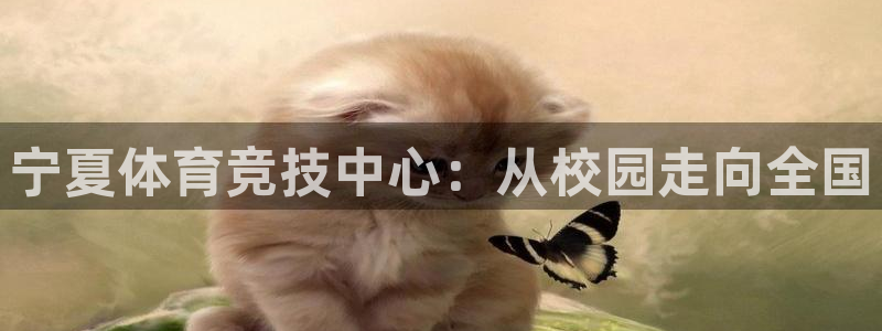 球速体育：宁夏体育竞技中心：从校园走向全国