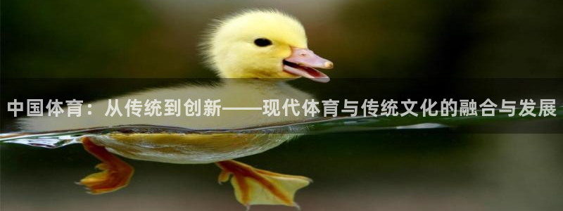 球速体育