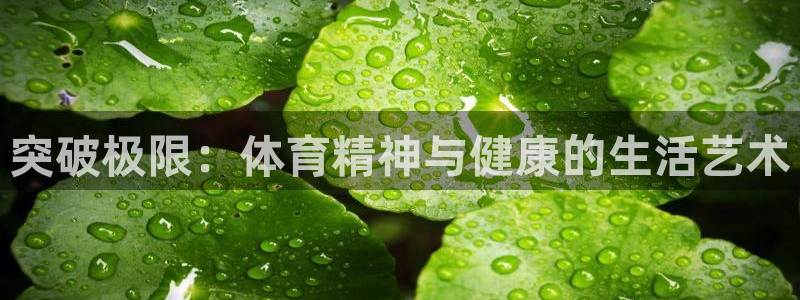 球速体育：突破极限：体育精神与健康的生活艺术