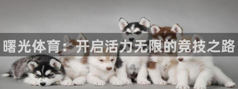 球速体育：曙光体育：开启活力无限的竞技之路