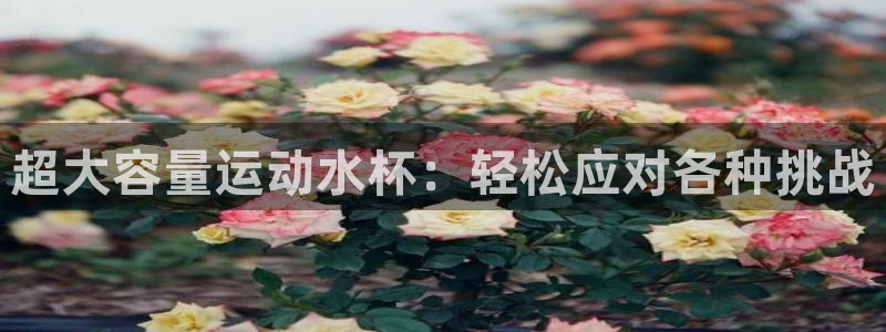 球速体育：超大容量运动水杯：轻松应对各种挑战